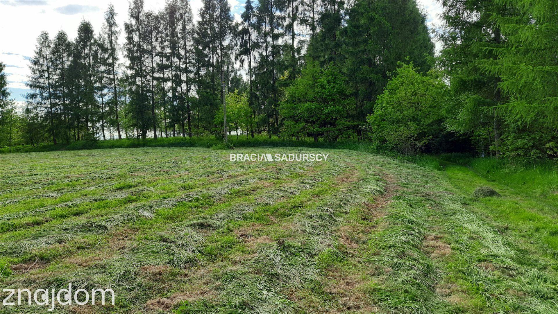 Działka budowlana 8900 m2 Poręba Żegoty - zdjęcie 21