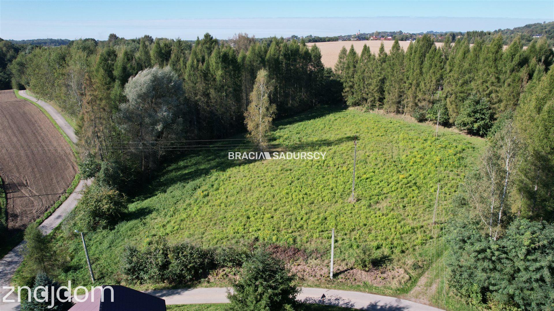 Działka budowlana 8900 m2 Poręba Żegoty - zdjęcie 3