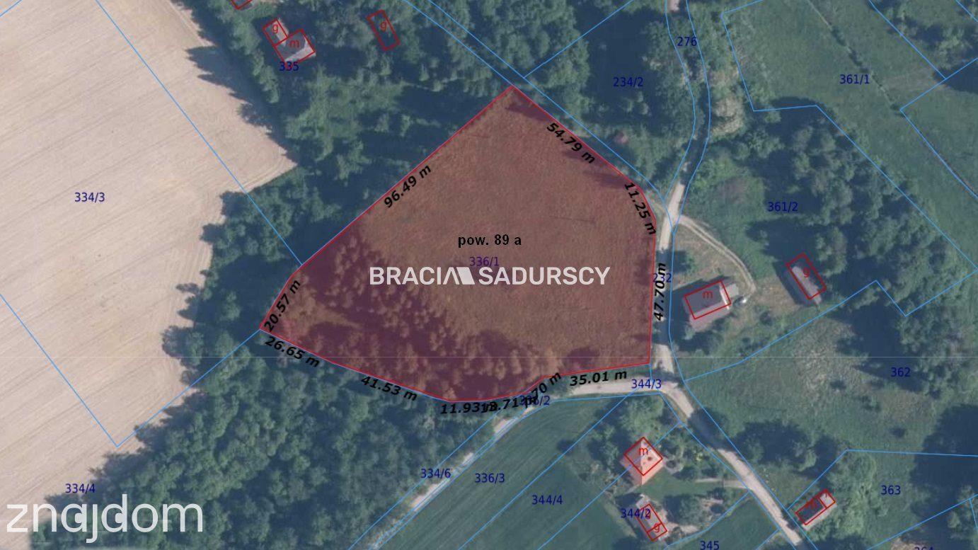 Działka budowlana 8900 m2 Poręba Żegoty - zdjęcie 4