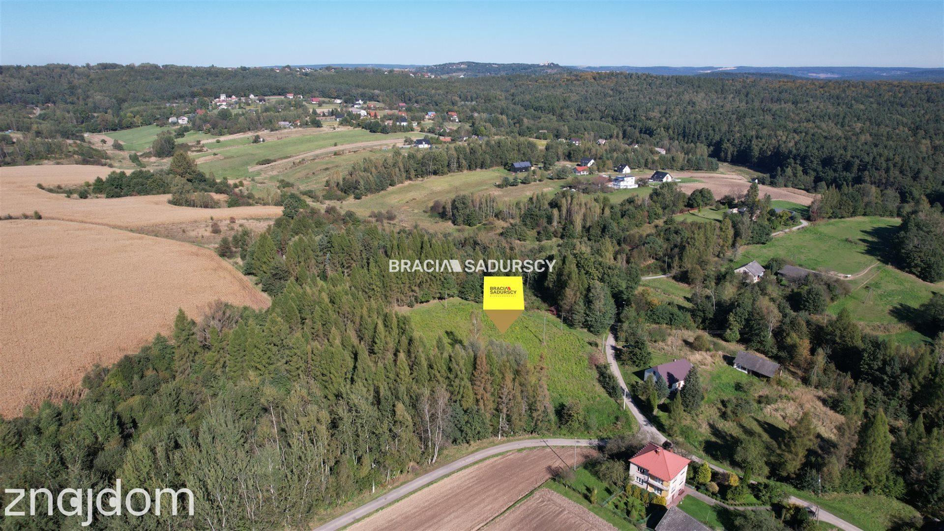 Działka budowlana 8900 m2 Poręba Żegoty - zdjęcie 7