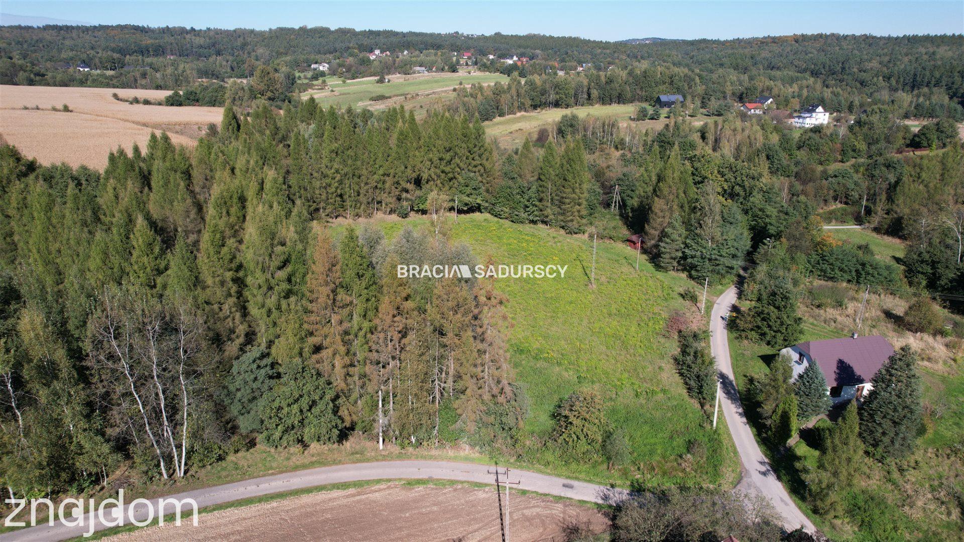 Działka budowlana 8900 m2 Poręba Żegoty - zdjęcie 8
