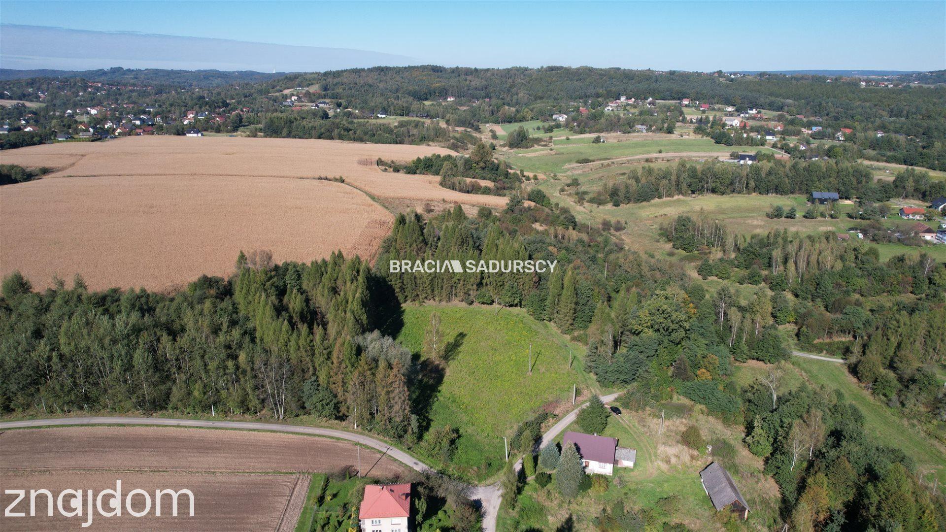 Działka budowlana 8900 m2 Poręba Żegoty - zdjęcie 9