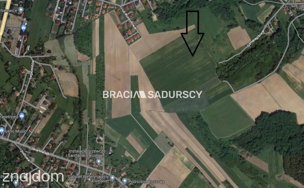 Działka Budowlana Młodziejowice w gm. Michałowice - zdjęcie 8