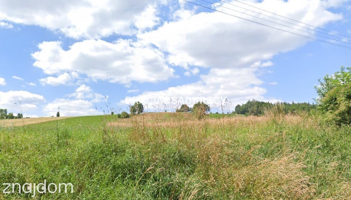 działka budowalana w Młodziejowicach