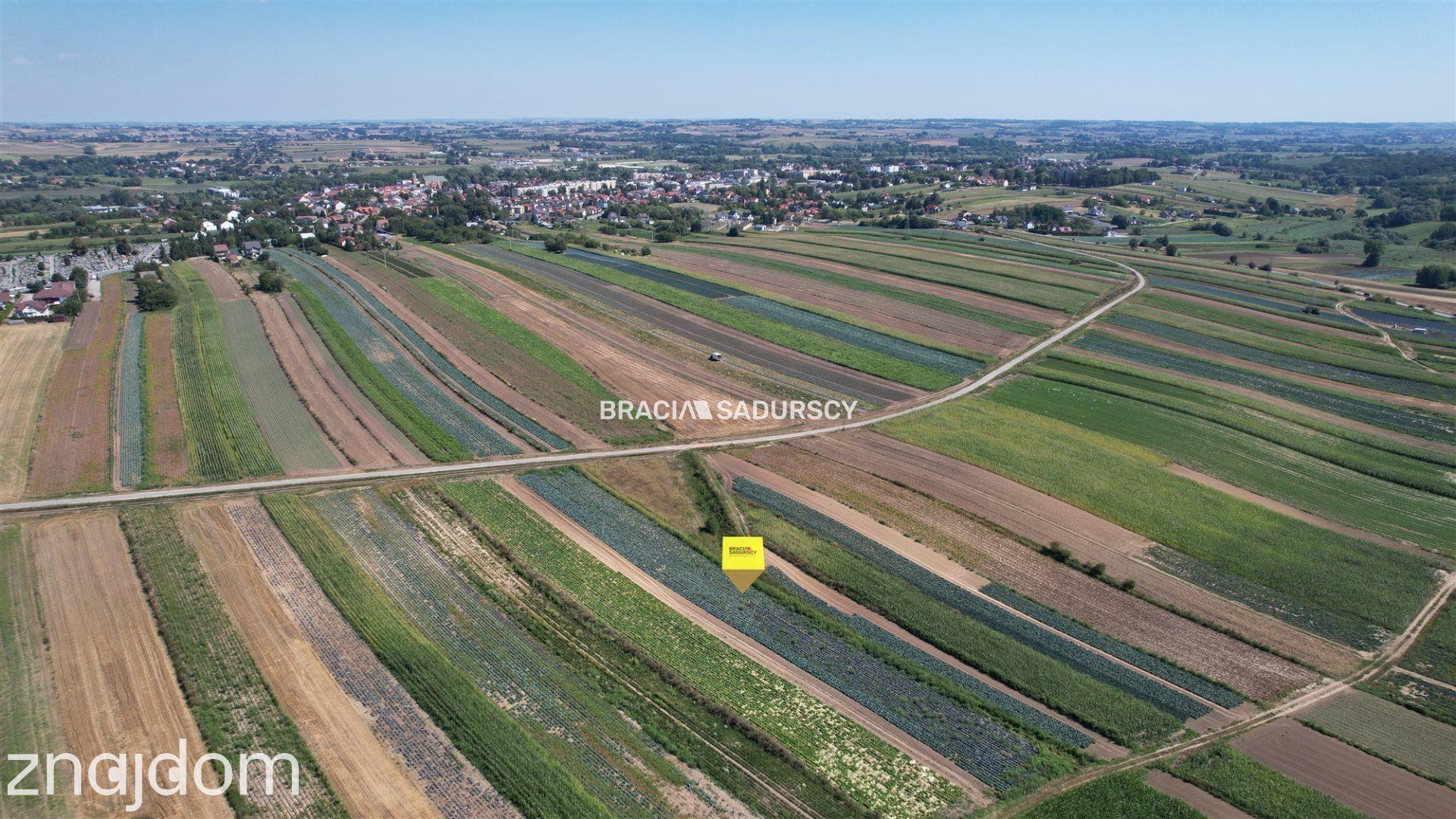 Działki rolne Proszowice - zdjęcie 17