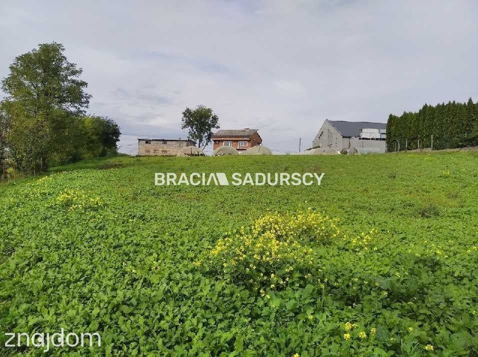 Pobiednik Wielki -Działka inwestycyjna (budowlana) - zdjęcie 14