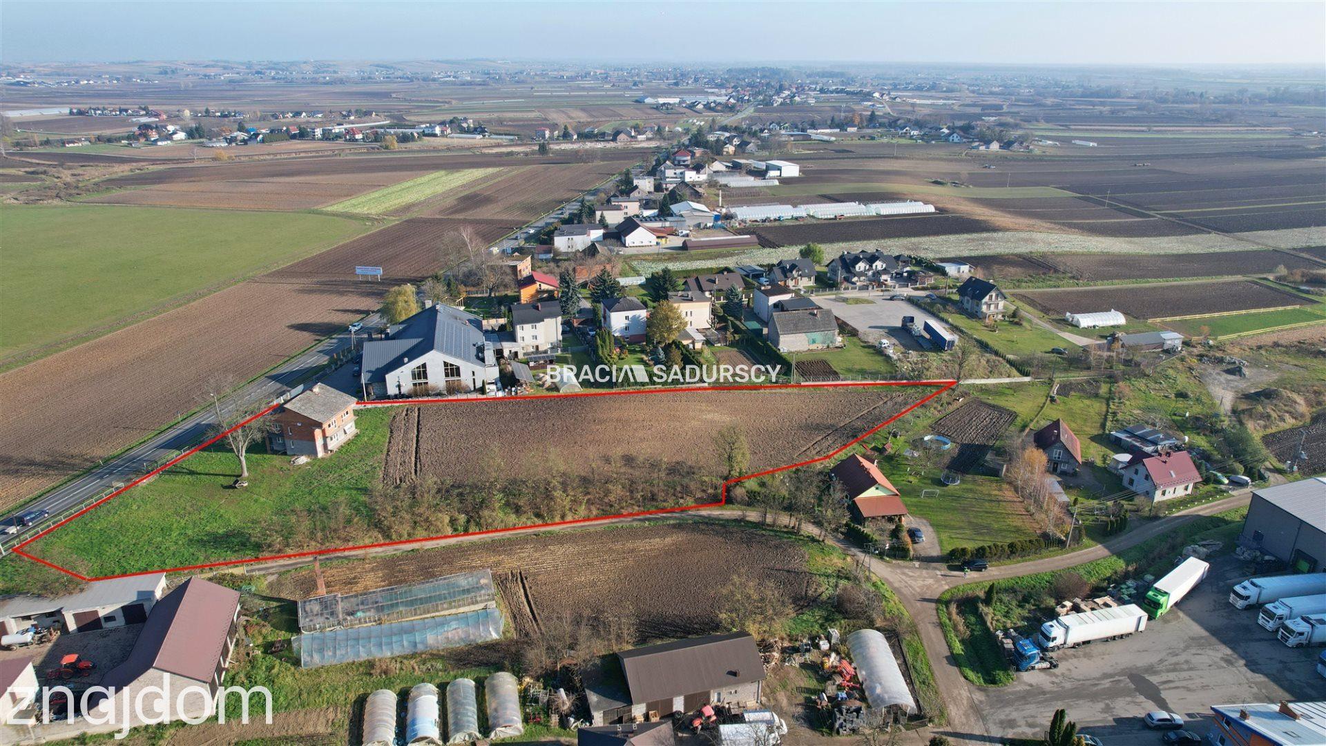 Pobiednik Wielki -Działka inwestycyjna (budowlana) - zdjęcie 6