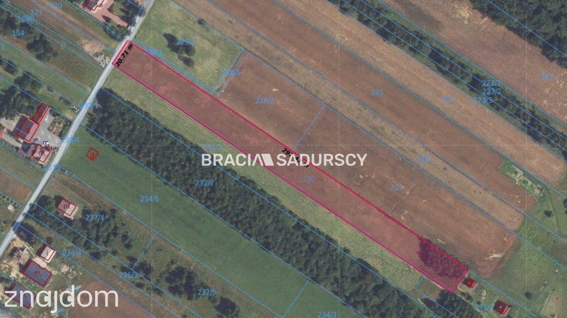 DZIAŁKA 60 AR. ROL-BUDOWLANA MEDIA SĄSPÓW SPOKÓJ - zdjęcie 5