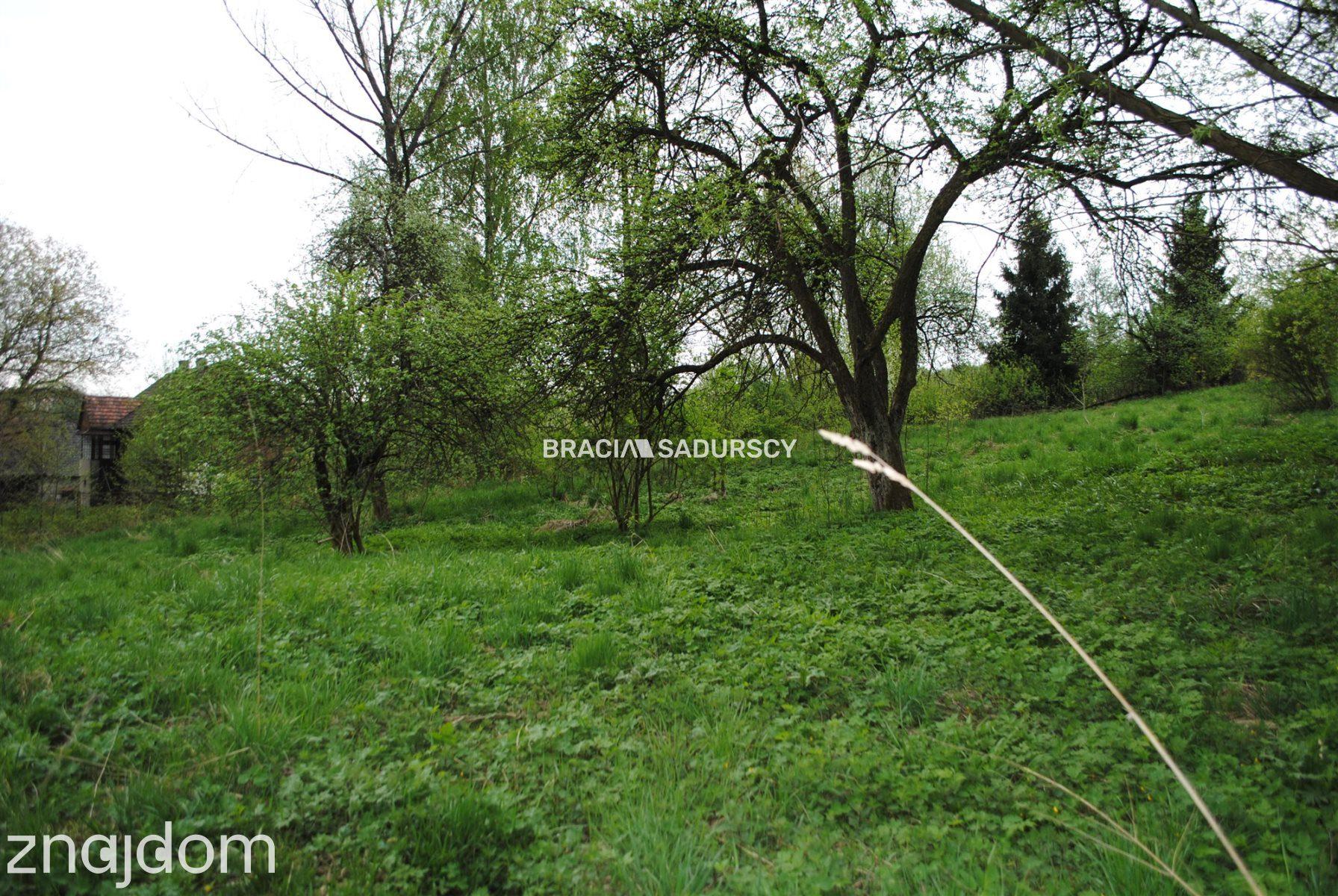 Działka budowlana,widokowa w Chobędzy gm.Gołcza - zdjęcie 4
