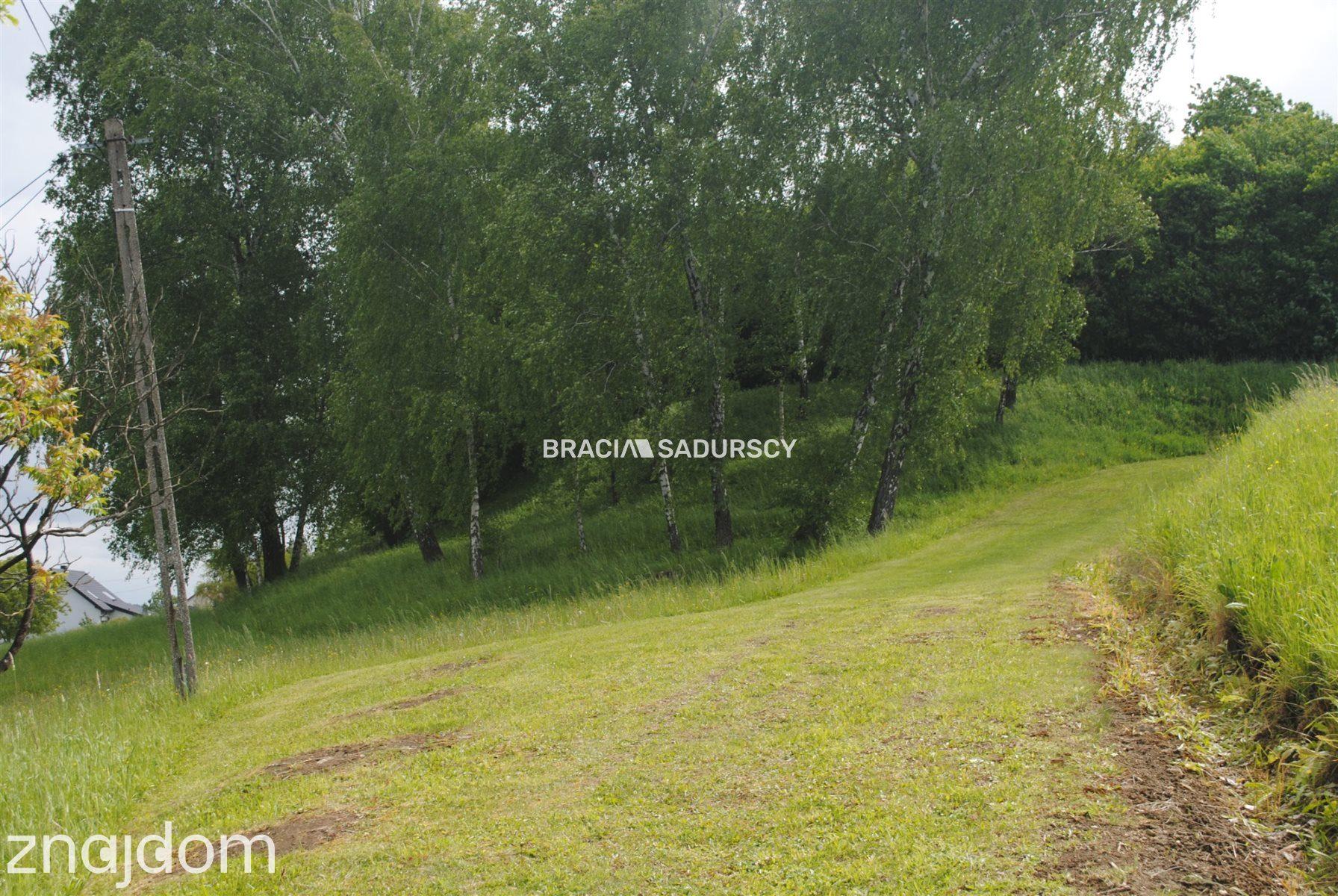 Gospodarstwo około 1,5 ha w Łazanach gm.Biskupice - zdjęcie 8