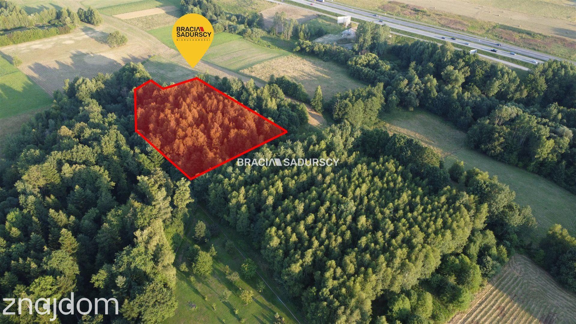 Działka na sprzedaż 48 arów gm. Myślenice - zdjęcie 2
