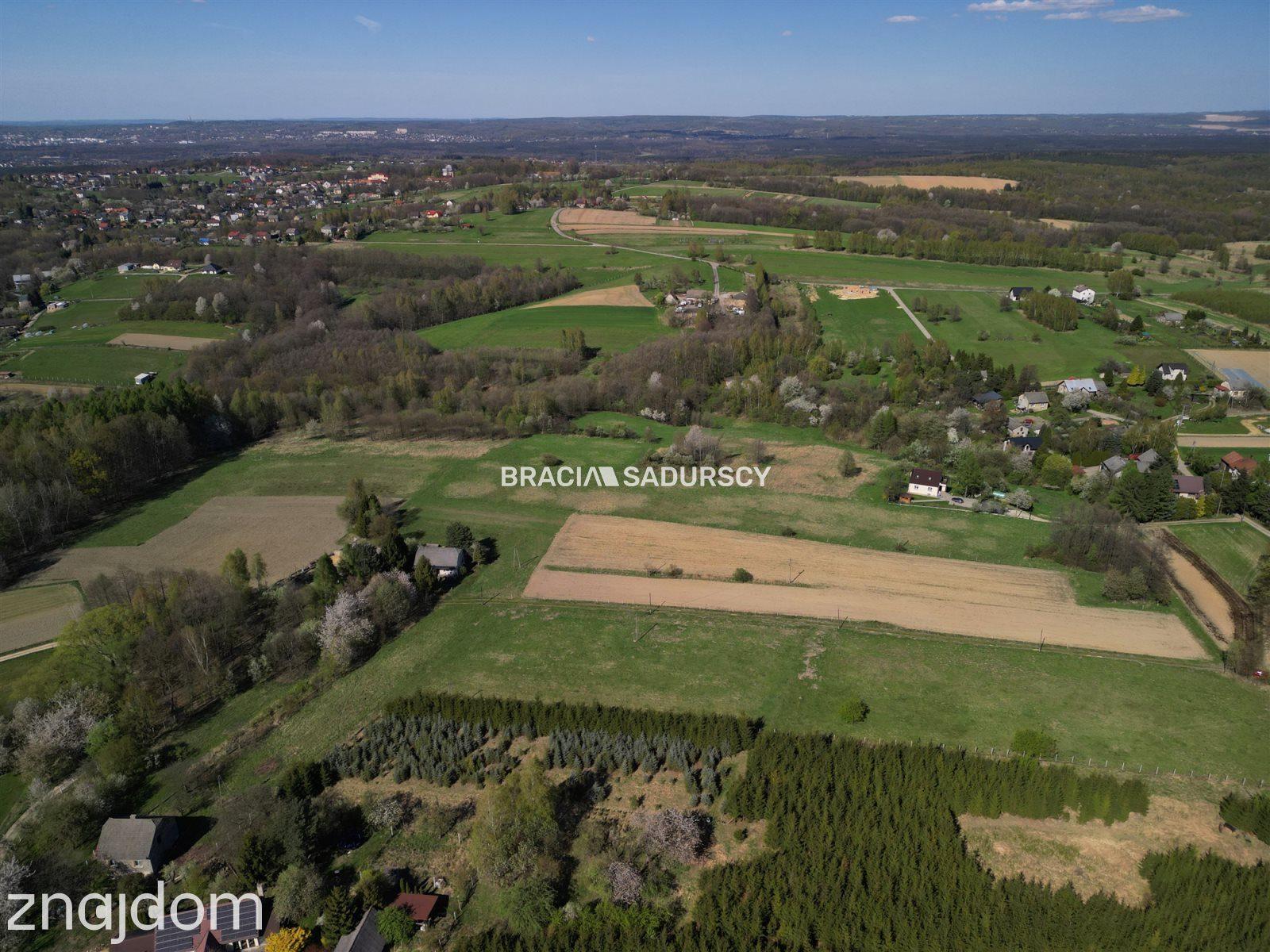 Płaska działka 2,21ha | Inwestycja | Natura - zdjęcie 8