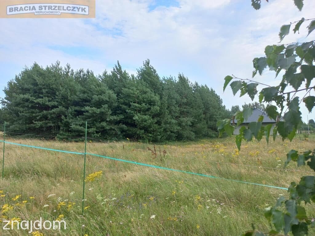 Działka Budowlana 2202 m2 Nowy Brańszczyk - zdjęcie 5