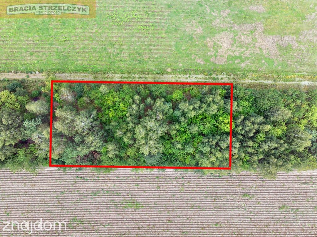 Działka 2000 m² pod dom – Walendów - zdjęcie 2