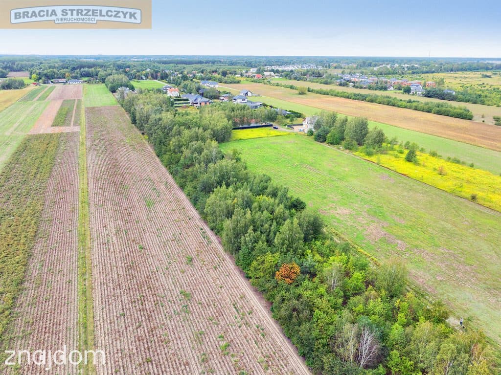 Działka 2000 m² pod dom – Walendów - zdjęcie 5