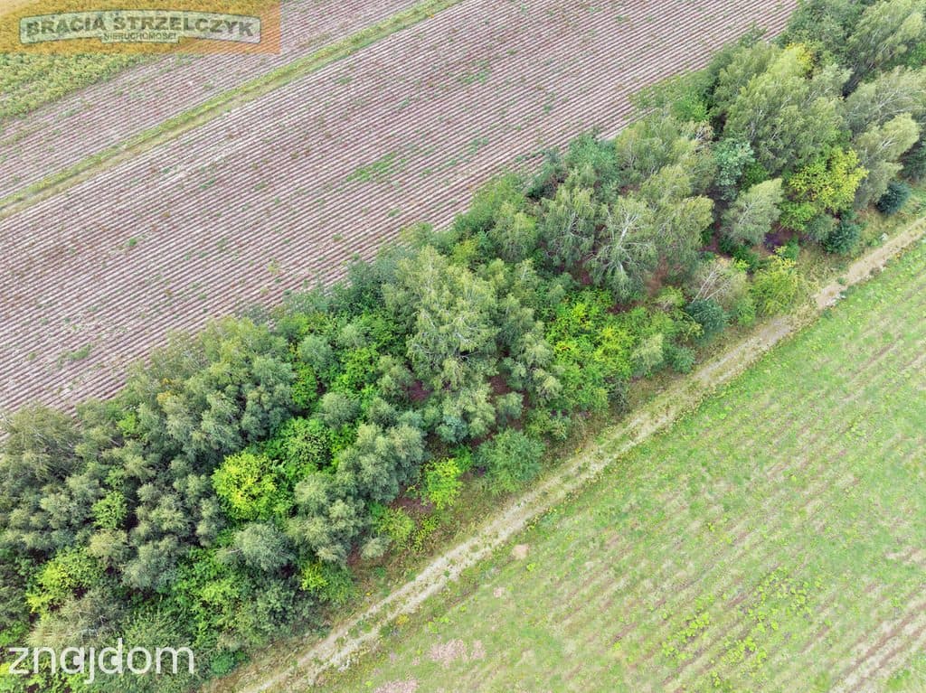 Działka 2000 m² pod dom – Walendów - zdjęcie 9