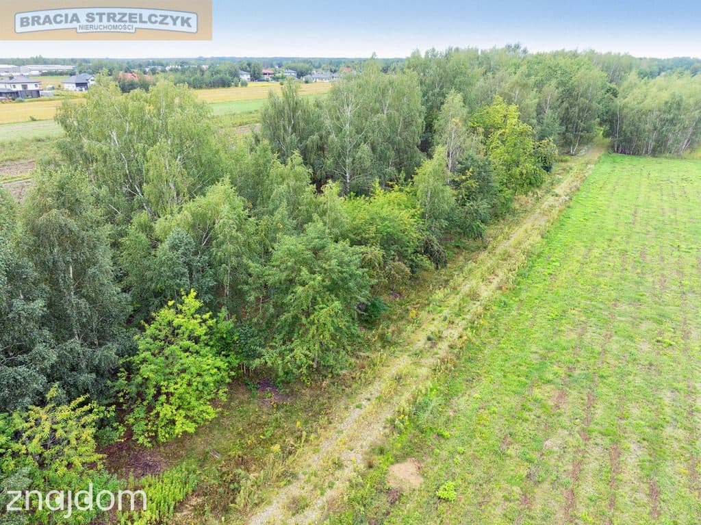 Działka 2000 m² pod dom – Walendów - zdjęcie 10