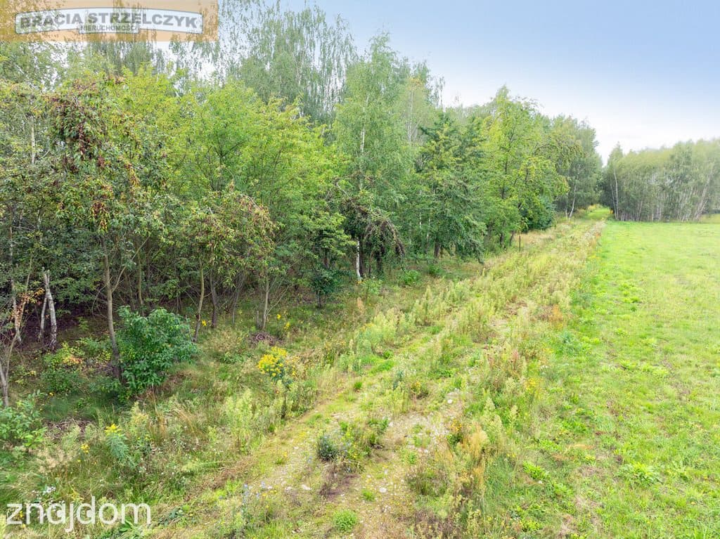 Działka 2000 m² pod dom – Walendów - zdjęcie 11
