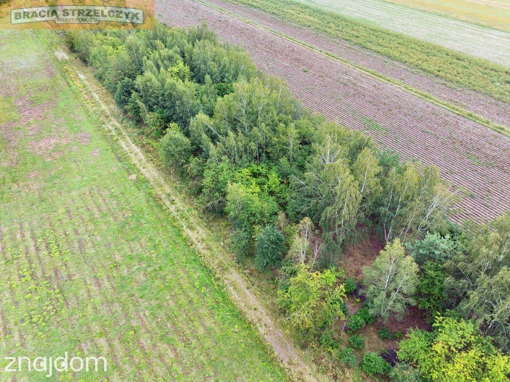 Działka 2000 m² pod dom – Walendów - zdjęcie 12