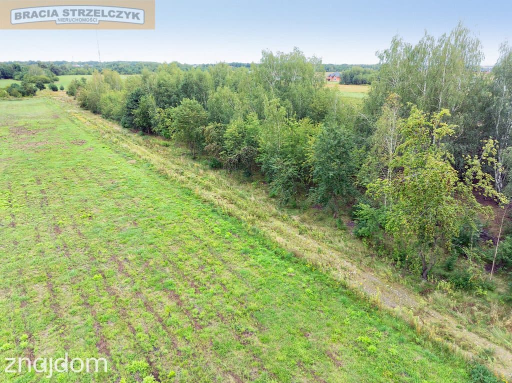 Działka 2000 m² pod dom – Walendów - zdjęcie 13