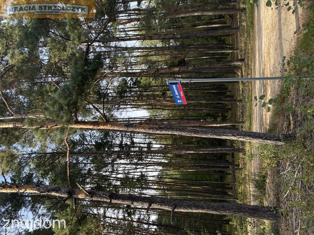 Działka jest MPZP pod zabudowe mieszkaniowa Świniotop/Kamieńczyk - zdjęcie 16
