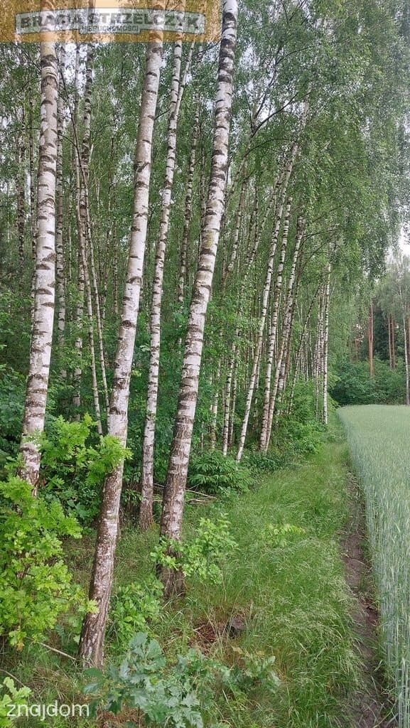 Działka Budowlana 4188 m2 Kalinowo gm. Ostrów Mazowiecka - zdjęcie 6
