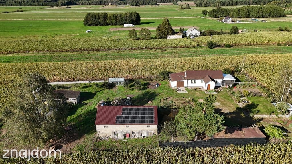 Dom 52m2 z dużą działką 3500m2 w otoczeniu natury - zdjęcie 2