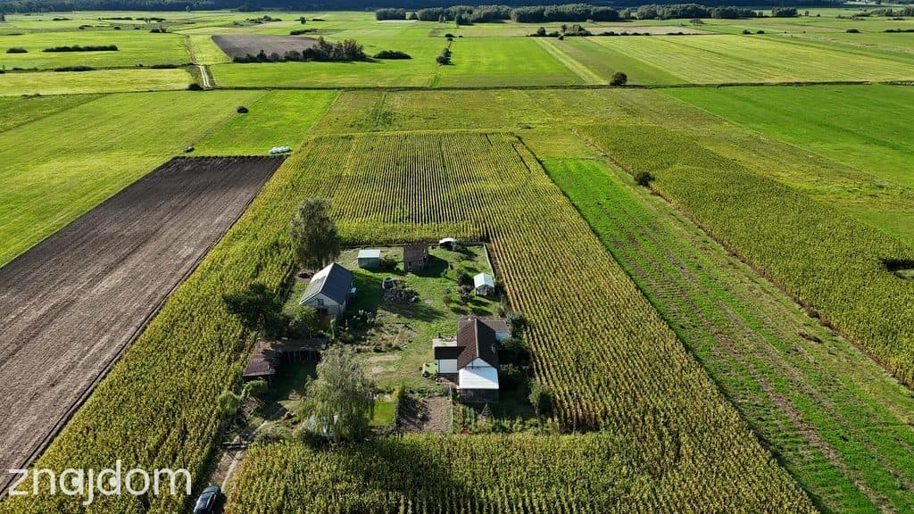 Dom 52m2 z dużą działką 3500m2 w otoczeniu natury - zdjęcie 3