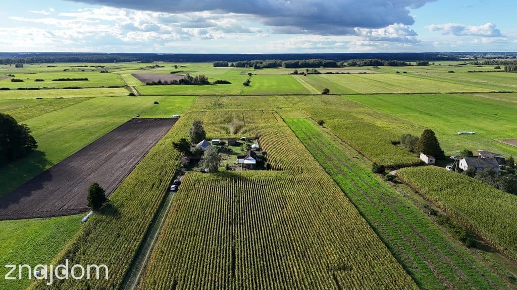 Dom 52m2 z dużą działką 3500m2 w otoczeniu natury - zdjęcie 4