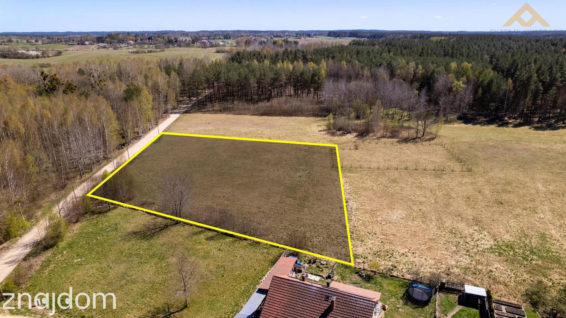 Inwestycyjna działka 4273 m²!WZ na 2 domy, potencjał podziału na 3 działki. - zdjęcie 7