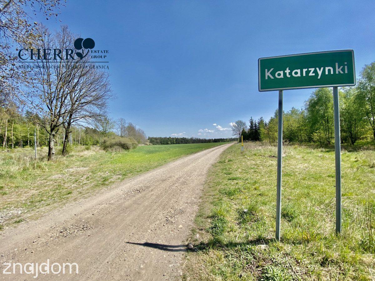 Działka granicząca z lasem i obszarem Natura 2000 - zdjęcie 2