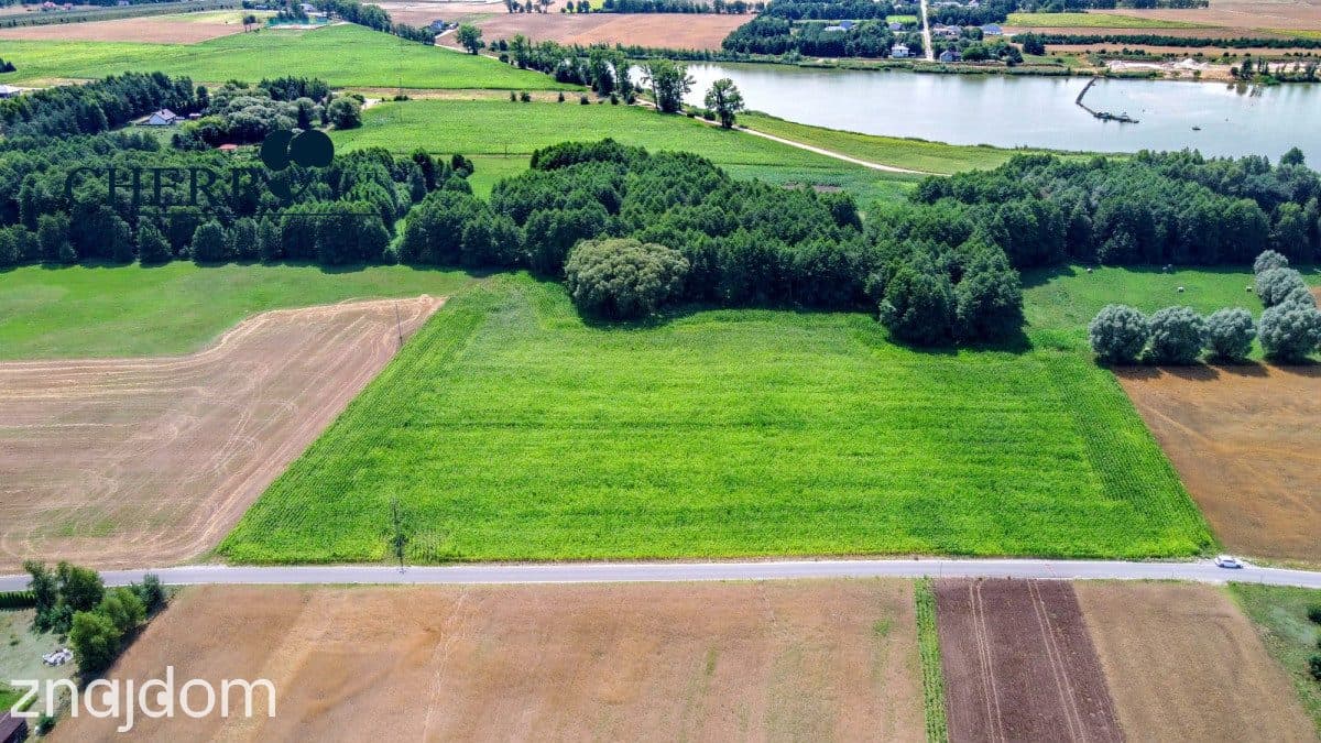 Działki z WZ | Wierzyce | blisko S5 - zdjęcie 4