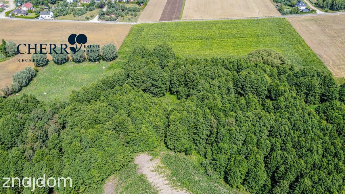 Działki z WZ | Wierzyce | blisko S5 - zdjęcie 12