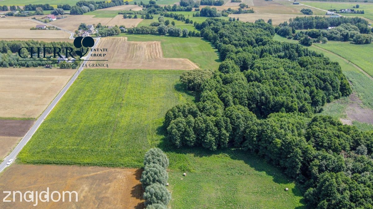 Działki z WZ | Wierzyce | blisko S5 - zdjęcie 15