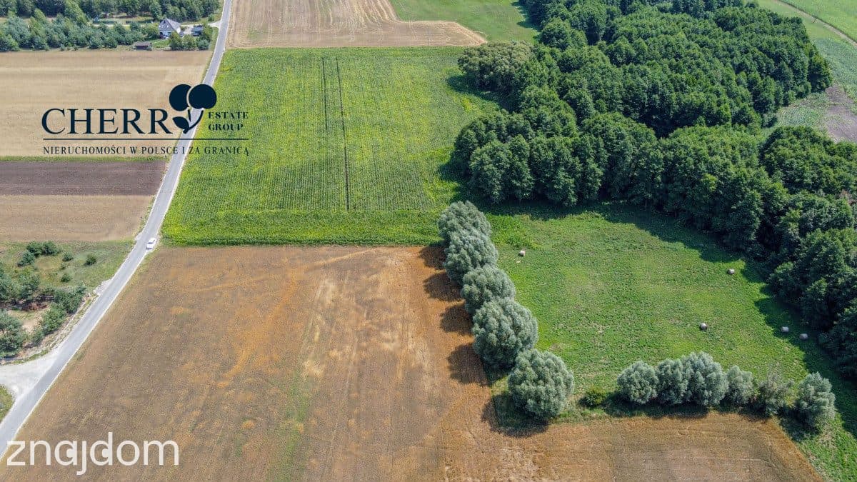 Działki z WZ | Wierzyce | blisko S5 - zdjęcie 17