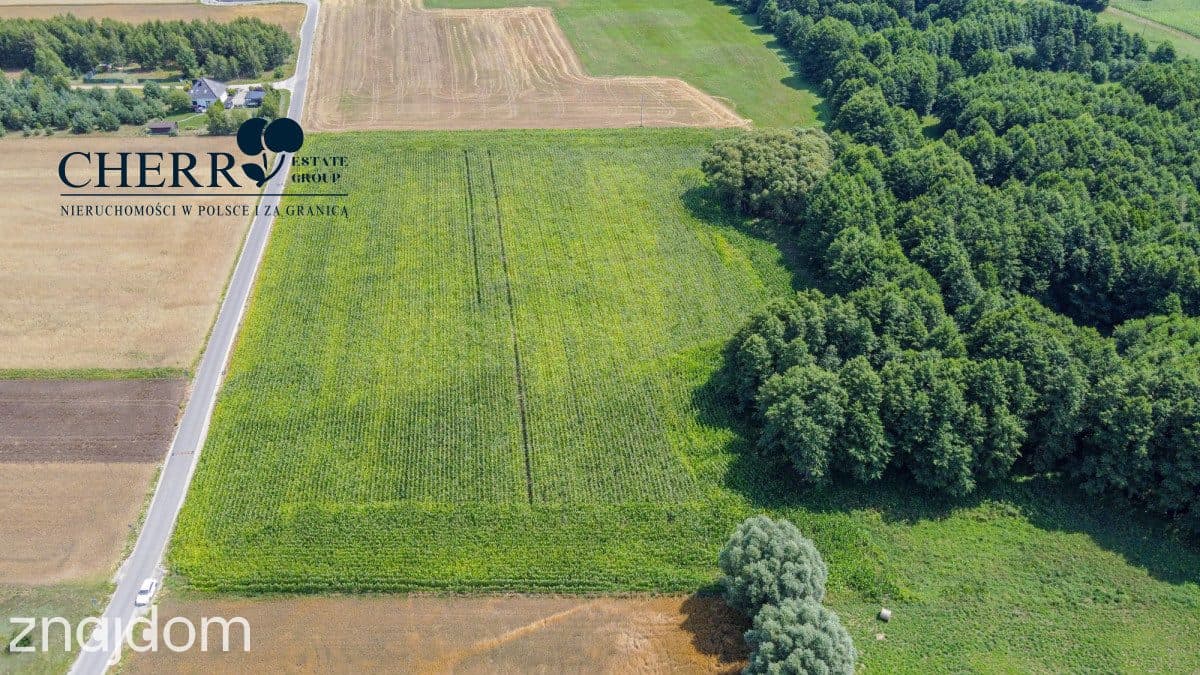 Działki z WZ | Wierzyce | blisko S5 - zdjęcie 18