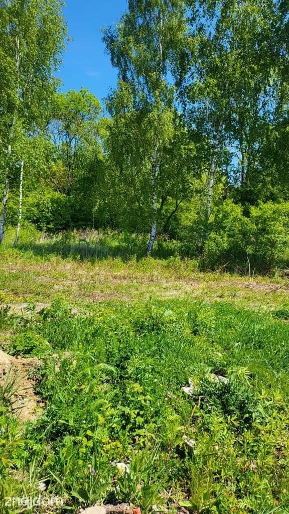 Działka budowlana - zdjęcie 9