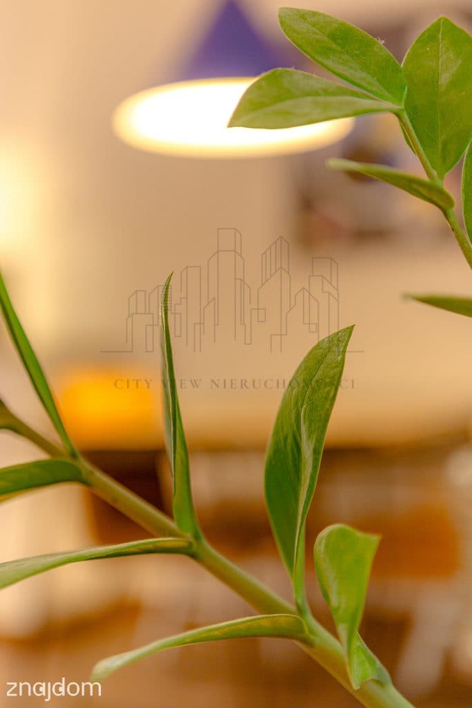 Mieszkanie 80.29m² z ogrodem, komórką i garażem na 2 auta - Ołtaszyn. - zdjęcie 13