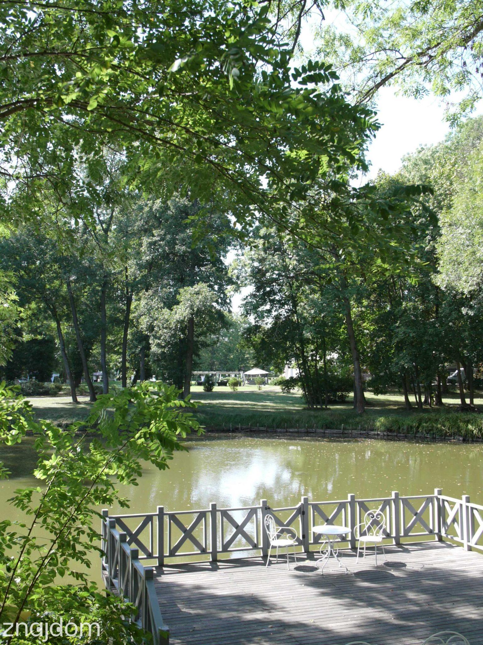 Działka budowlana w Rozalinie - zdjęcie 3