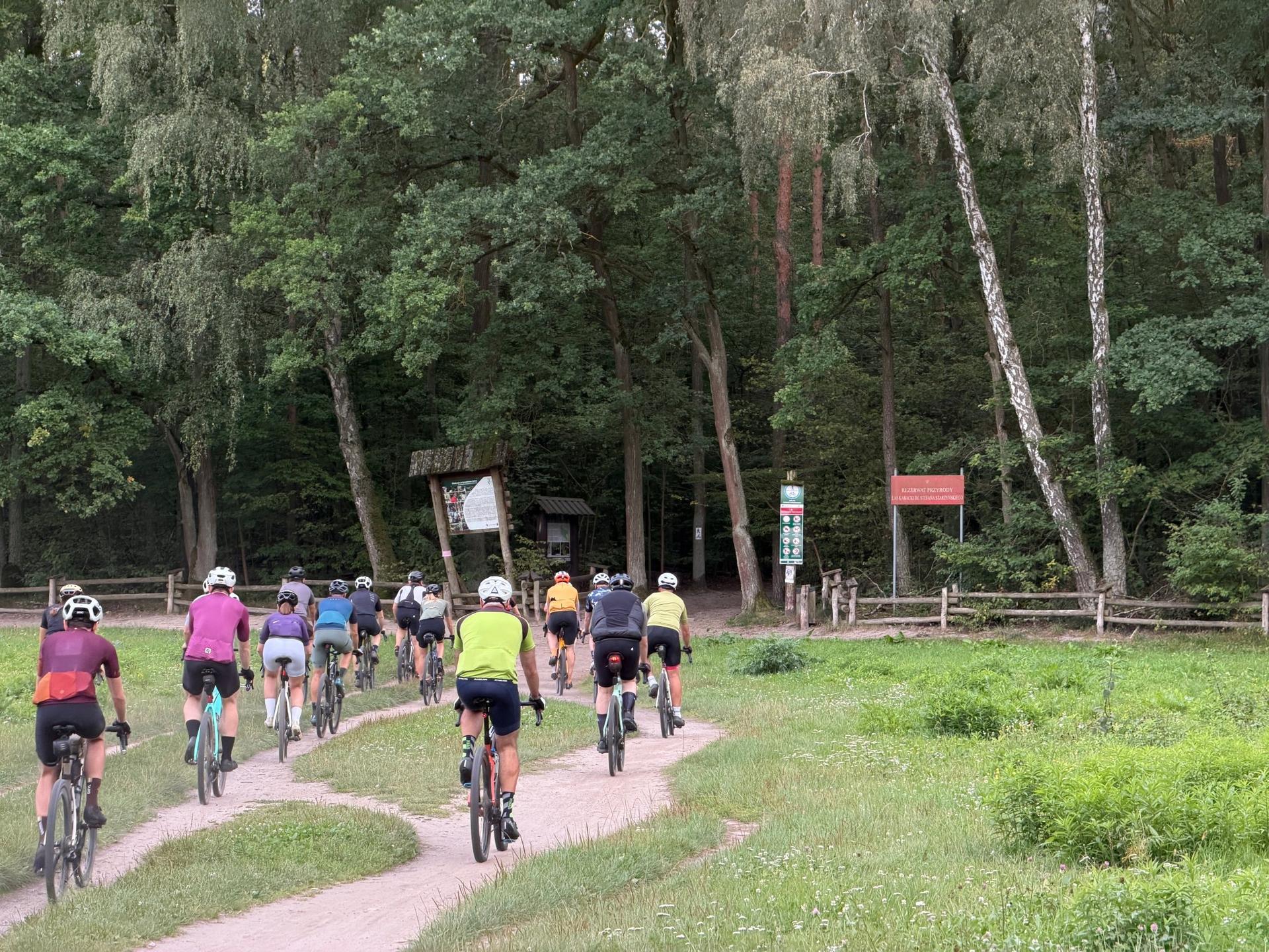 Grupa rowerzystów wjeżdżająca piaszczystą ścieżką na teren Rezerwatu Przyrody Las Kabacki na warszawskim Ursynowie.