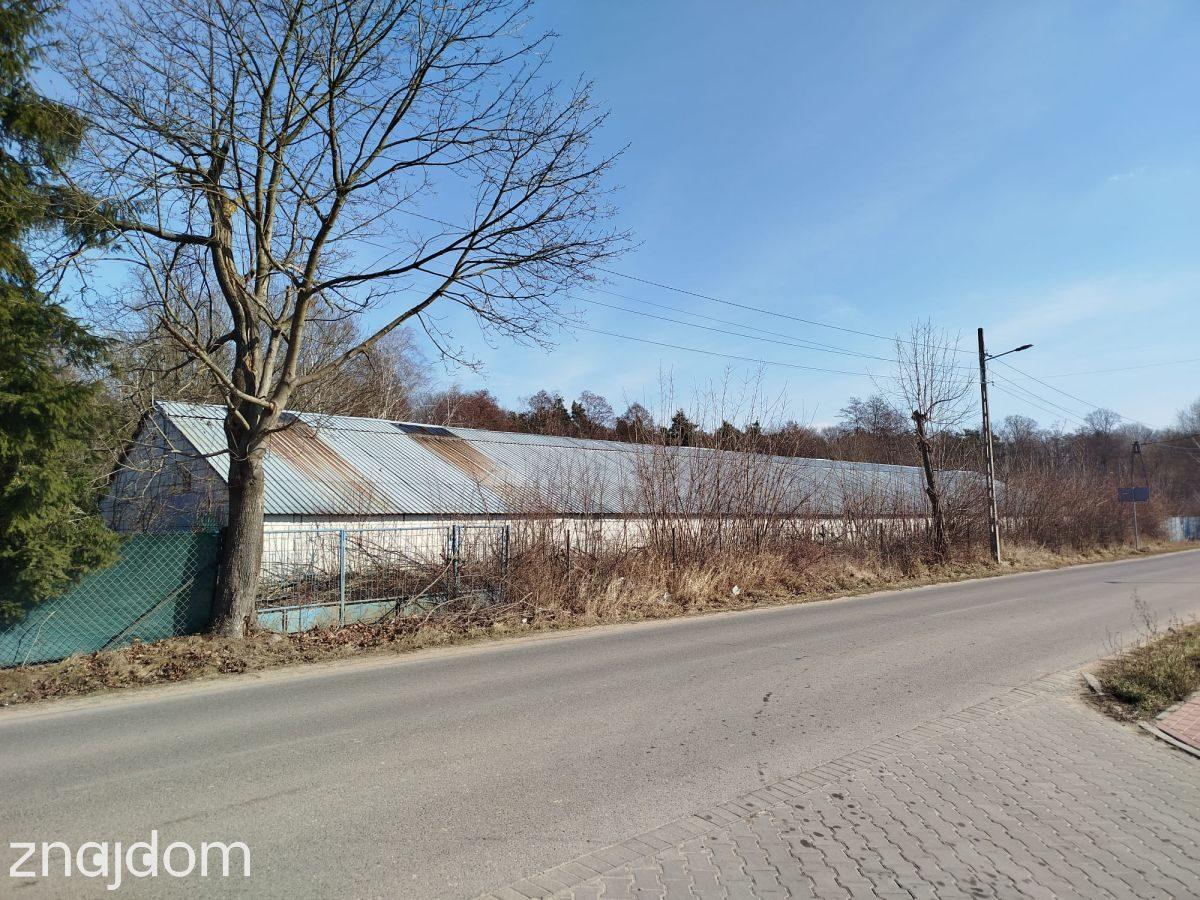 Usługi 9 775 m² przy DW631 | Skrzeszew | Potencjał - zdjęcie 10