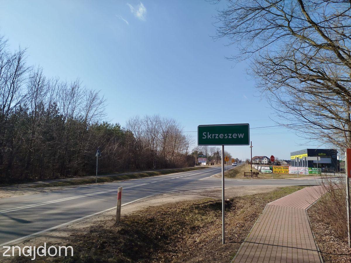 Usługi 9 775 m² przy DW631 | Skrzeszew | Potencjał - zdjęcie 8