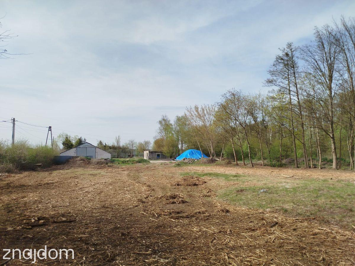 Usługi 9 775 m² przy DW631 | Skrzeszew | Potencjał - zdjęcie 2