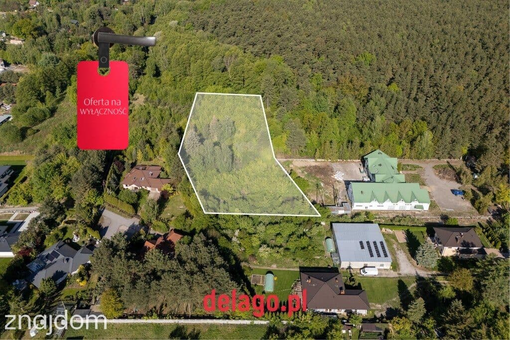 Duża działa budowlana przy lesie – Łazy - zdjęcie 10