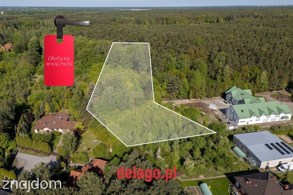 Duża działa budowlana przy lesie – Łazy - zdjęcie 2