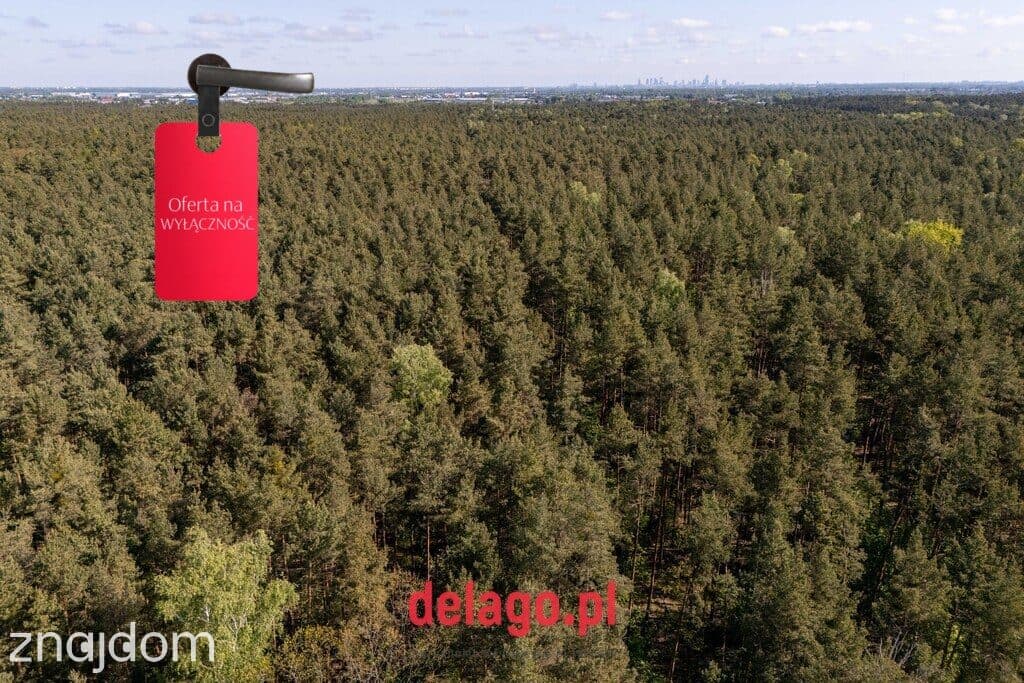 Duża działa budowlana przy lesie – Łazy - zdjęcie 12