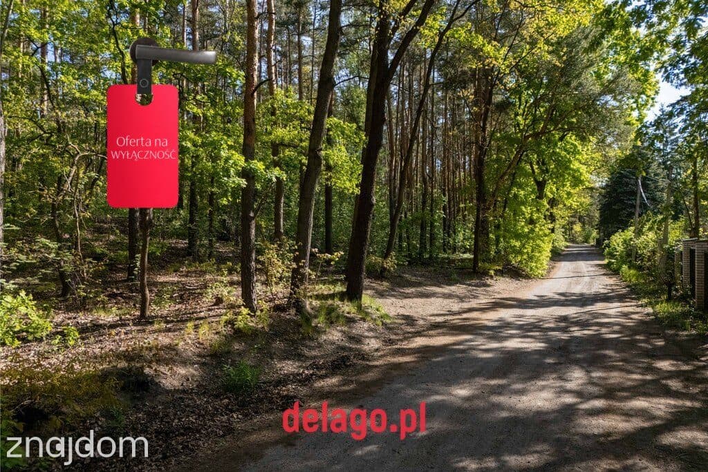 Duża działa budowlana przy lesie – Łazy - zdjęcie 6