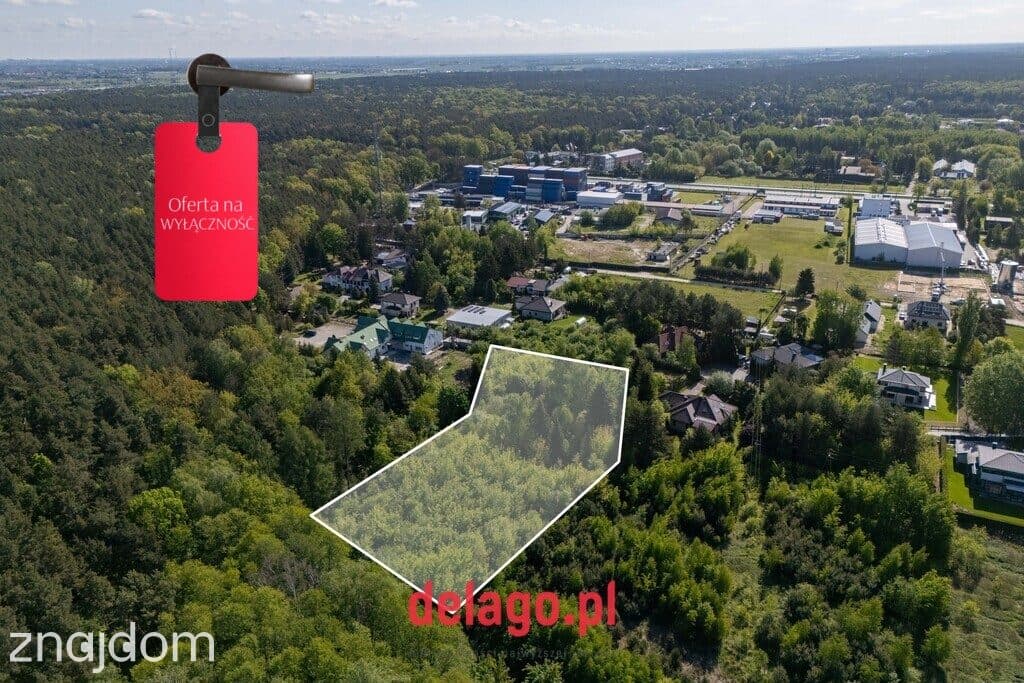 Duża działa budowlana przy lesie – Łazy - zdjęcie 7