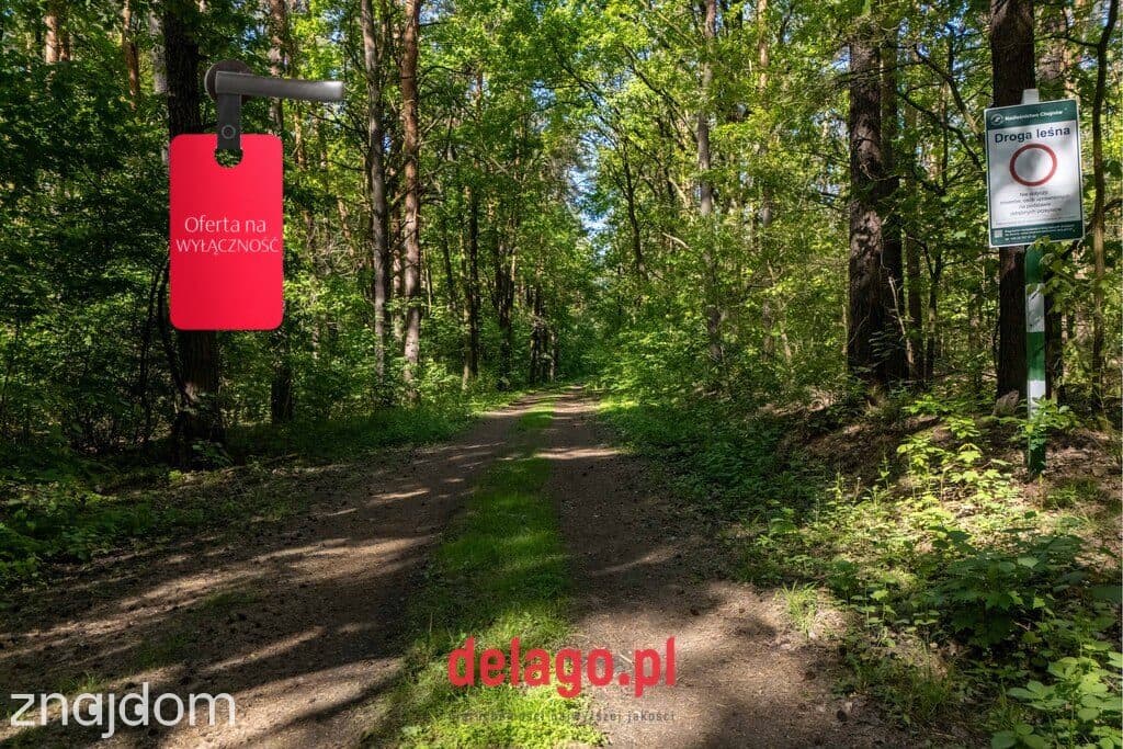 Duża działa budowlana przy lesie – Łazy - zdjęcie 15