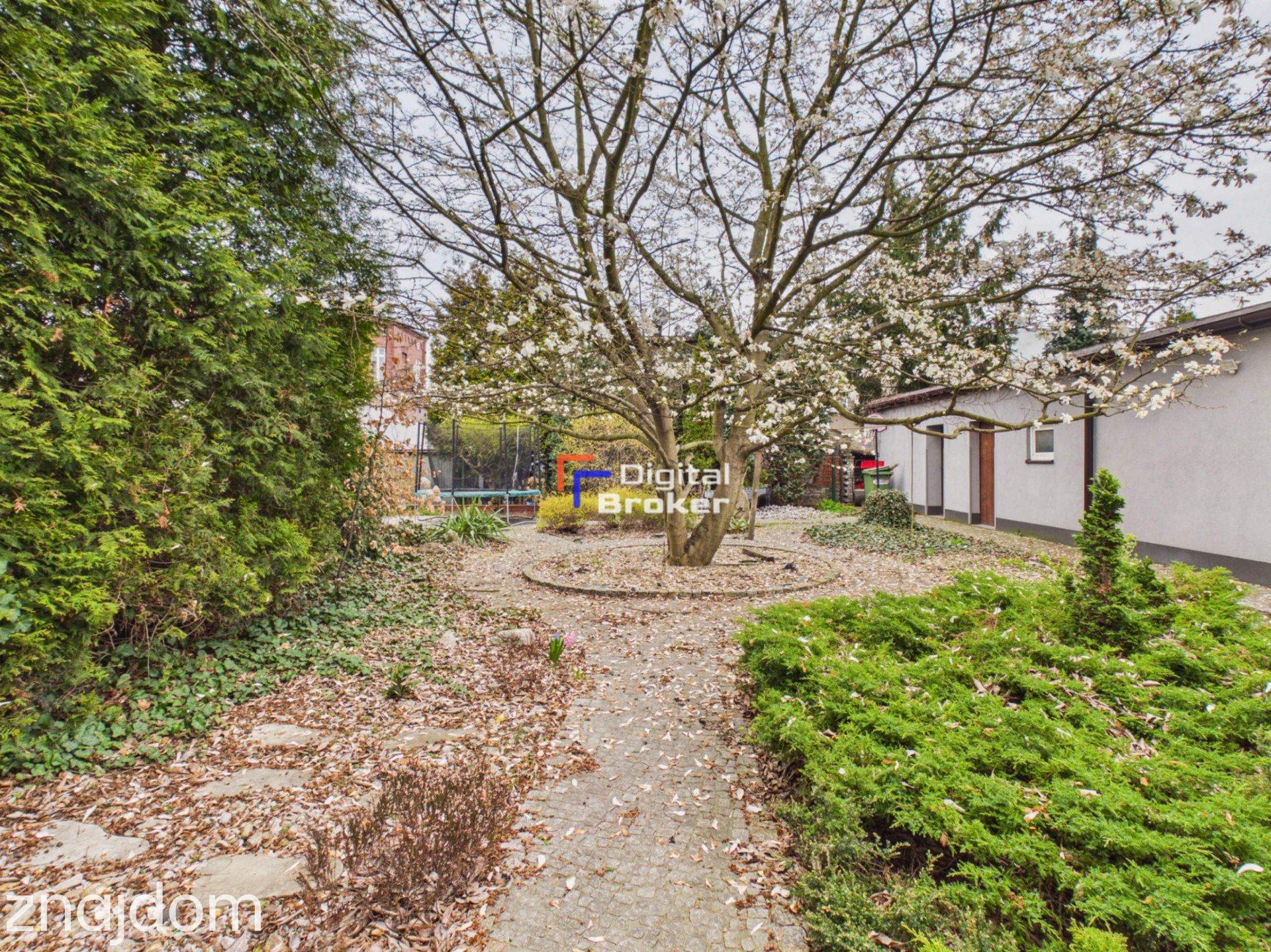 Kamienica: Trzy Apartamenty z Ogrodem- d.p. 30tys/mc - zdjęcie 20